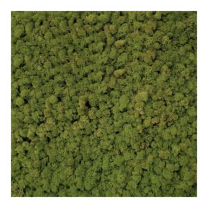 Panel 50x50 cm chrobotek-80 MEDIUM GREEN