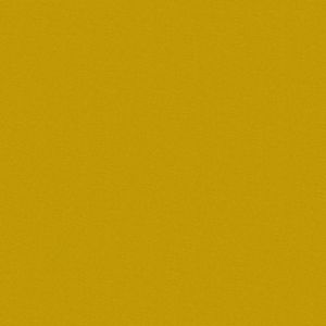 Plain Gold Flat 3098823