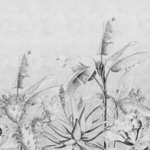 Rainforest Sketch