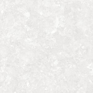 Lunaria white
