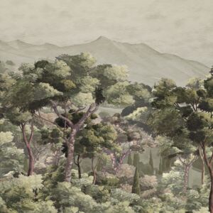 Misted Forest LTD03000_Scan_Web