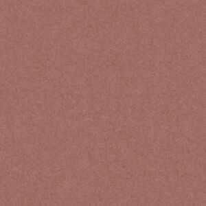 Monolight Terracotta 30 x 60