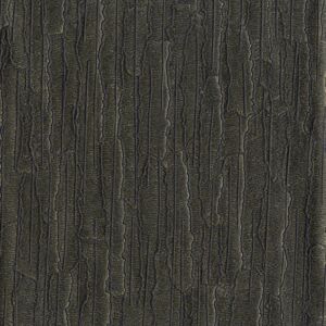 Bark 1678327301highres_03g77-scaled