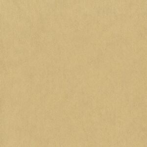 01B17 - Union Saturn