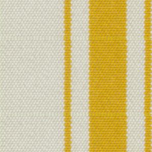 Stripe Gold Flat 3498836