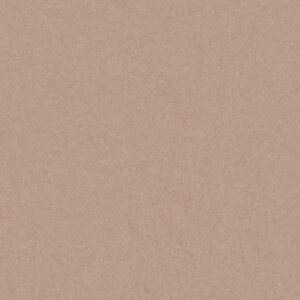 Monolight Mocca 30 x 60