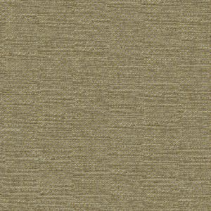 Plain Green Texture 1873800