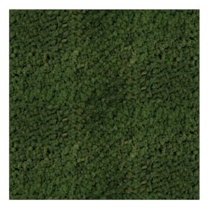 Panel 100x100 cm chrobotek-54 MOSS GREEN