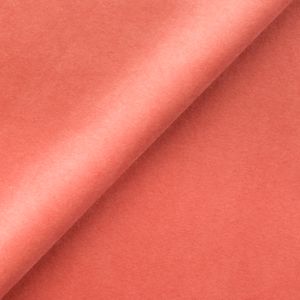  TK salvador_12_300dpi