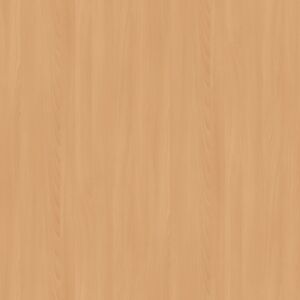 Syst-eM collection STD24 Buk_Beech_Buche