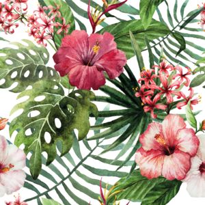 HIBISKUS 01