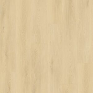  20251027161149_68ff8bb599d15