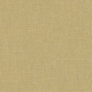 Plain Gold Texture 2972569