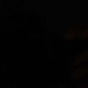 Sillón SIERRA _C131_HIGH GLOSS BLACK