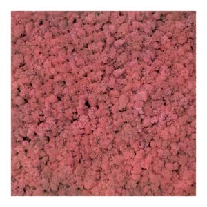 Panel 50x50 cm chrobotek-61 PINK