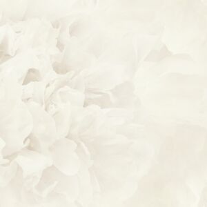 Rosea LTD03171_Scan_Web