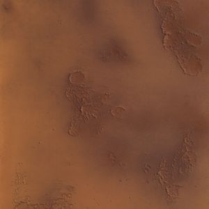 imi-rust-deep-330-72dpi-sRGB-1000x2000mm