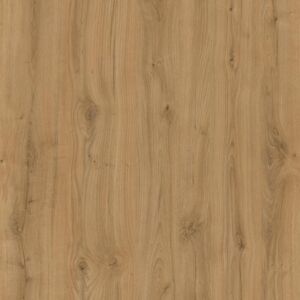 D1041 Eternal Oak