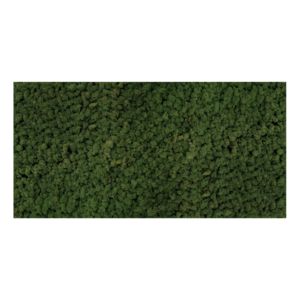 Panel 100x50 chrobotek-54 MOSS GREEN
