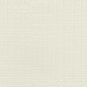 Raffia Weave 14646_Web