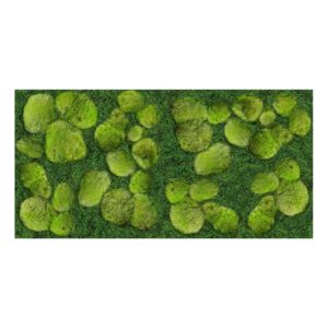 Panel 100x50 cm MECH KĘPKI 70%-MECH PŁASKI 30%