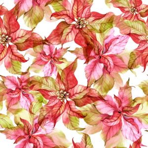 GWIAZDA BETLEJEMSKA 03_TEKSTURA