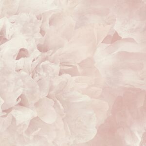 Rosea LTD03170_Scan_Web