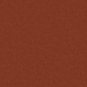 Plain Orange Velvet 2283650