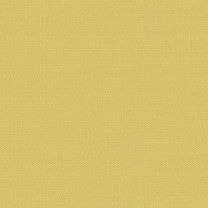 Plain Gold Flat 3489287