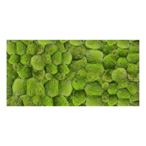 Panel 100x50 Mech kępki 100%