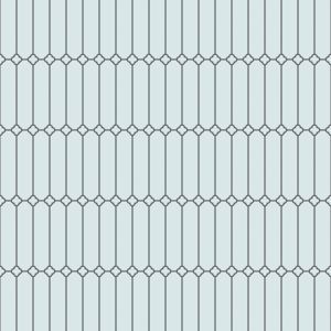  WIM_1-14_Dab_antracyt