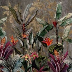 Midnight Tropics