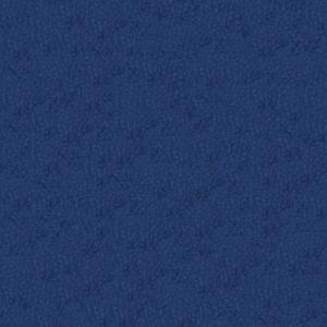 Animal Blue Velvet 2798721