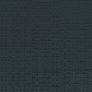 Raffia Weave