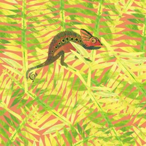 11360 - Amazonia Manos