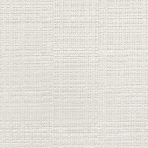 Raffia Weave 14645_Web