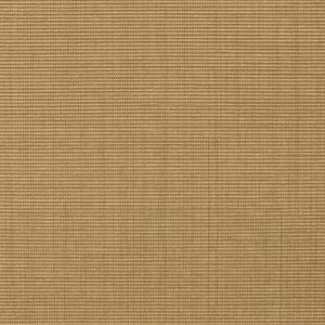 Muslin Silk 14624_Web