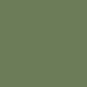Tavos I - wieszak M11_Zielen groszkowa_Pea green_RAL6011