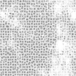 Naranja - a ceiling lamp hanging from Mexico 14_20_Occlusion