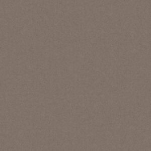 Monolight Brown 60 x 120