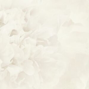 Rosea