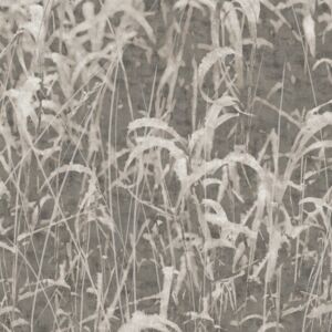 Sawgrass Meadow