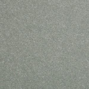 Naturalny szary N250