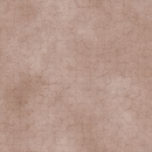 02_Specular