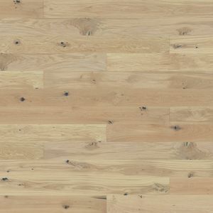  1WG000783_Dab_Mont Blanc_Medio