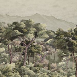Misted Forest