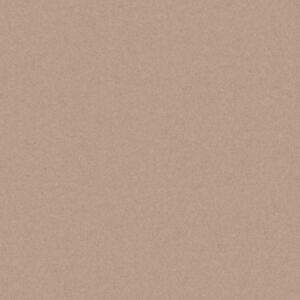 Monolight Mocca 60 x 120