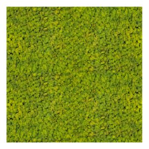 Panel 100x100 cm chrobotek-55 SPRING GREEN