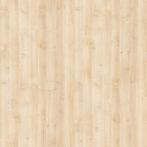 Lano-E 300 P -  Desk with electric height adjustment STD11_klon europejski_european maple_europäischer ahorn