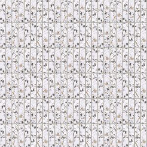  WIM_1-12_Dab_bielony